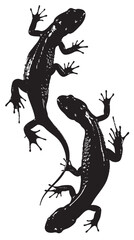 Fototapeta premium Salamanders silhouette isolated in White background
