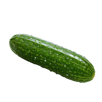 fresh cucmber sparkled with water isolated on transparent background