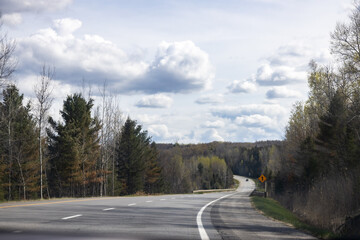 A long road stretches straight ahead, surrounded by dense forest on both sides, inviting a journey into nature.
