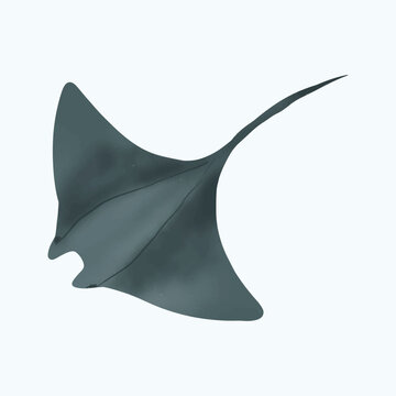 Sea Life Creature Manta Ray Fish Watercolor Painting 
