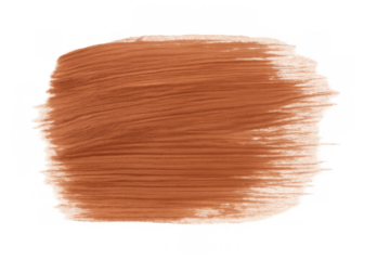 Brown paint brush stroke revealing textured bristle marks against transparent backdrop