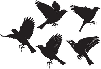 Eurasian skylark bird in flight vector illustration