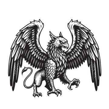 Classic griffin illustration vintage art silhouette in black and white detailed heraldic design emblem symbol