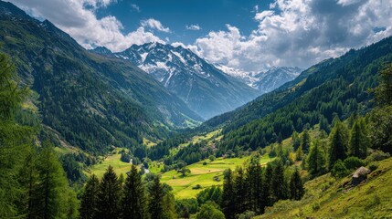 Fototapeta premium Swiss Alps mountain range with lush forest valleys and meadows, countryside in Switzerland landscape. Snowy mountain tops in the horizon, travel destination wallpaper.
