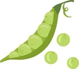 Green pea pod. Legume vegetable with smooth round shape. For cooking designs, healthy food themes, and gardening content.