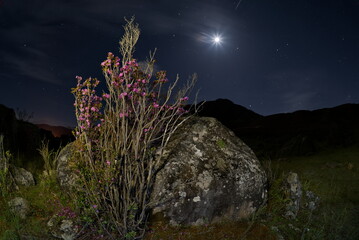 Russia. The South of Western Siberia. Gorny Altai. Night view of the Katun River valley with huge...
