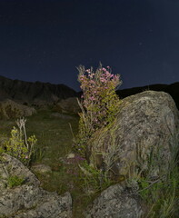 Russia. The South of Western Siberia. Gorny Altai. Night view of the Katun River valley with huge...