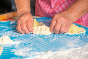 mom makes a lot of pies out of dough. High quality photo