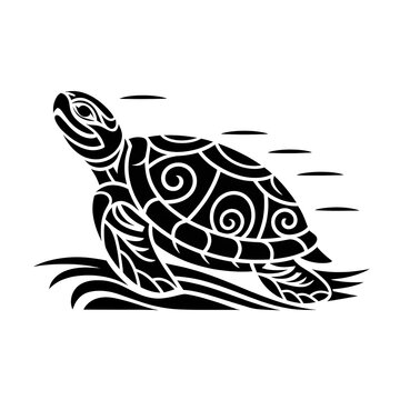 Sea turtle with patterned shell isolated on transparent background