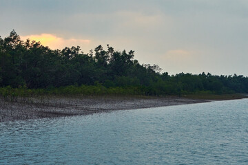 scenic beauty of dense wilderness at Sundarbans Biosphere reserve.. It's the world's largest...