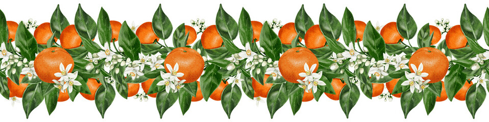  Seamless border with tangerins and flowers. Branches with citrus fruits and white flowers and leaves Fruits on a branch. Watercolor illustration isolated from the background. Hand drawing. 