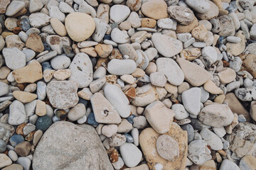 Smooth and textured pebbles litter the shore, showcasing a variety of colors and shapes during a sunny day by the beach