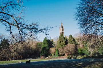 Glasgow Scotland: 8th Jan 2025: Scenic view of Kelvingrove Park surrounded by trees on a clear winter day