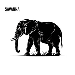 Fototapeta premium Elephant walking in the savanna isolated on transparent background