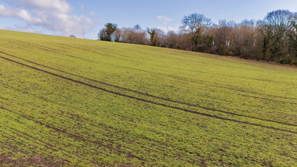 Lush green fields stretch across the landscape in northeast England as soft sunlight illuminates the terrain. Trees line the horizon, showcasing the beauty of spring.