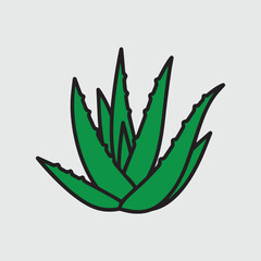 Simple aloe vera plant illustration green leaves