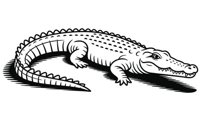 crocodile on black