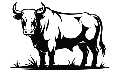 black and white cow