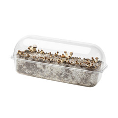 Mushroom kit grow dome on solid white background, floating in mid air horizontally