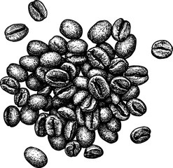 A handful of coffee beans ink sketch.