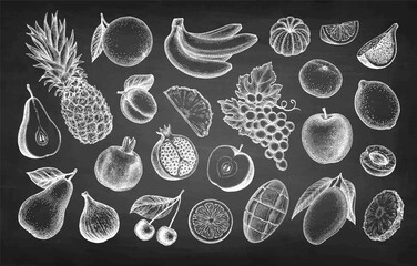 Fruits big set chalk sketch.
