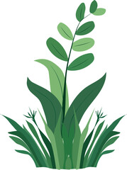 Botanical Illustration: An elegant botanical illustration showcases a collection of lush, vibrant green plants, with detailed leaves and an overall sense of natural beauty.