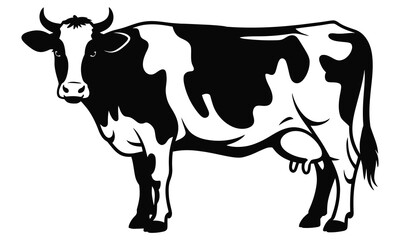 black and white cow