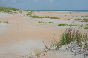 Florida Sandy Dunes with Vegetation and Wooden Fence Under Clear Blue Sky. Scenic view of sandy dunes covered with greenery and flowers, complemented with a wooden fence and an expansive blue sky, cre