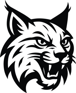 Wildcat lynx head middle high school sports team mascot isolated on transparent background