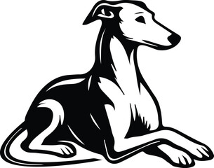 Greyhound dog laying crossed paws design isolated on transparent background