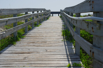 Obraz premium Florida Wooden Boardwalk Path Through a Scenic Nature Landscape Under a Blue Sky. Wooden boardwalk stretches through a natural setting under a bright blue sky with clouds, surrounded by vibrant greene