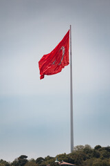 Turkish national flag flutters in wind on Bosphorus coast above trees on sunny day, Istanbul, Türkiye