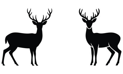 silhouette of a deer