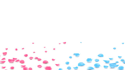 Blue and pink rose petals decor Valentine romantic card, banner and background vector illustration