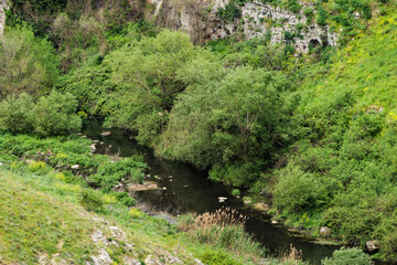 Matera, Italy. View of the Gravina torrent winding through lush greenery below the historic Sassi di Matera, Italy. Captured in the Parco della Murgia with rocky cliffs and wild nature.