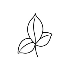 basil leave line art