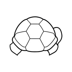 Obraz premium empty turtle shell line art