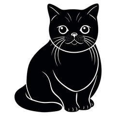 Obraz premium Calm exotic shorthair cat illustration