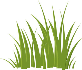 Fototapeta premium Fresh Green Grass: A vibrant collection of fresh green grass, showcasing the beauty of nature.