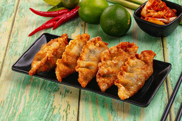 Asian fried stuffed dumplings gyoza