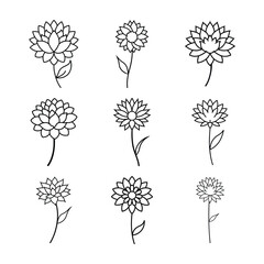 Dahlia Blossom Line Art Vector Set Collection