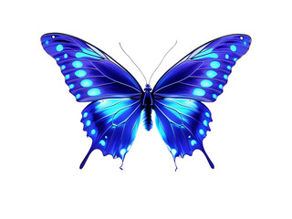 glowing neon blue butterfly light.