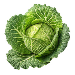 Obraz premium cabbage isolated on white background