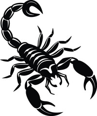 scorpion isolated on white background