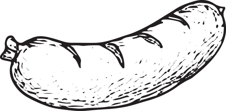 A hand-drawn black-and-white sketch of a raw sausage link, with textured casing and meat, ideal for deli displays, meat processing art, or sausage recipe illustrations