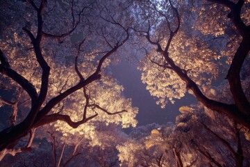 Fototapeta premium A night-time scene with glowing mango trees under the stars