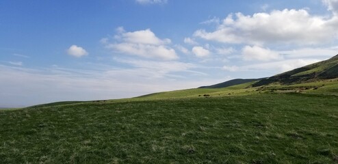 Green Grass Blue Sky Fluffy Clouds 