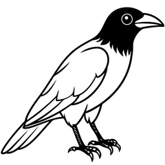 Crow line art vector