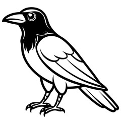 Crow line art vector