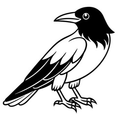 Crow line art vector
